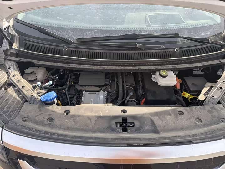 Фото 2 - Denza D9