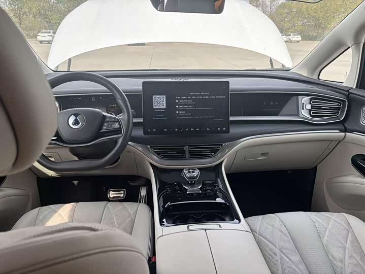 Фото 3 - Denza D9