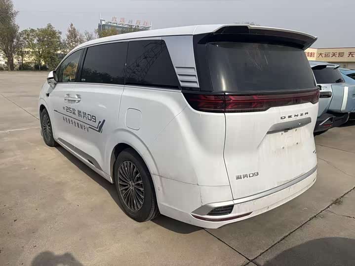 Фото 6 - Denza D9