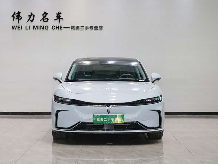 Фото 2 - Voyah Passion