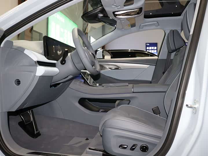 Фото 4 - Voyah Passion