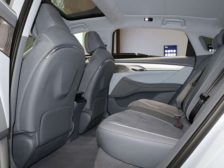 Фото 7 - Voyah Passion