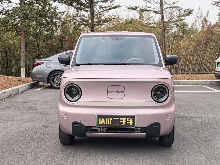 Фото 2 - Geely Galaxy Panda Mini