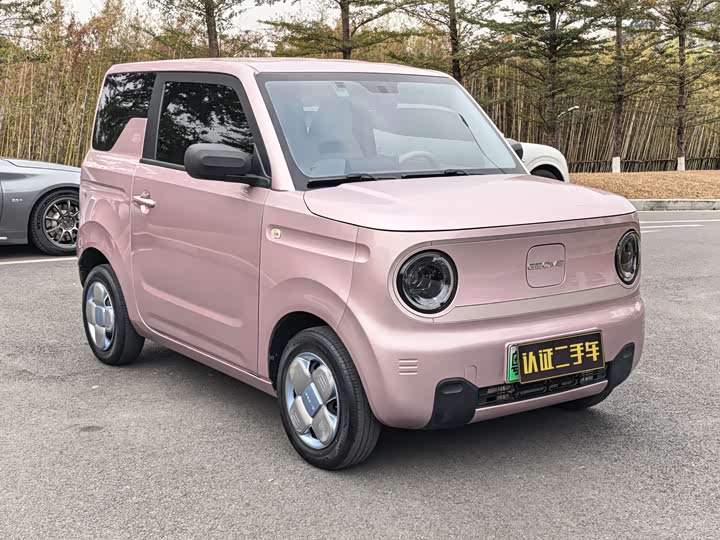 Фото 3 - Geely Galaxy Panda Mini