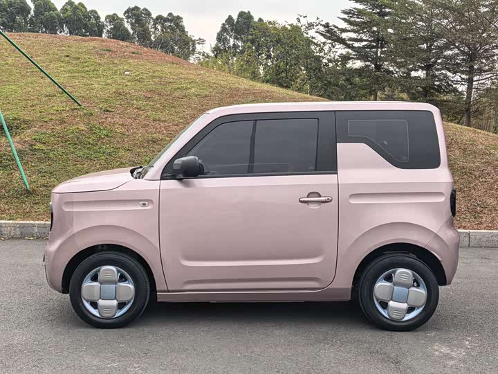 Фото 4 - Geely Galaxy Panda Mini