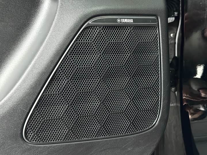 Фото 8 - GAC Trumpchi E9