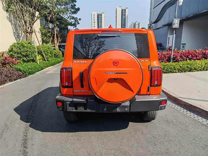 Фото 7 - Tank 300