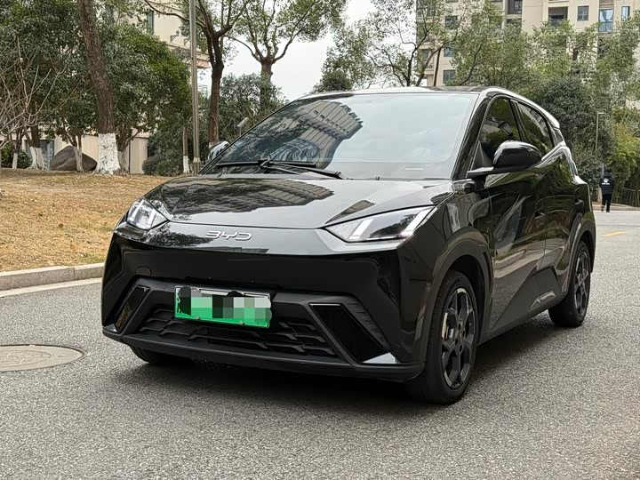 Фото 1 - BYD Seagull