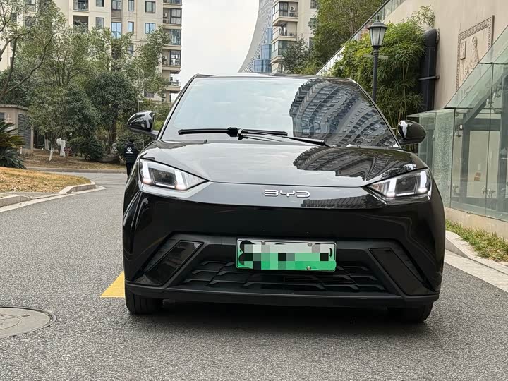 Фото 2 - BYD Seagull