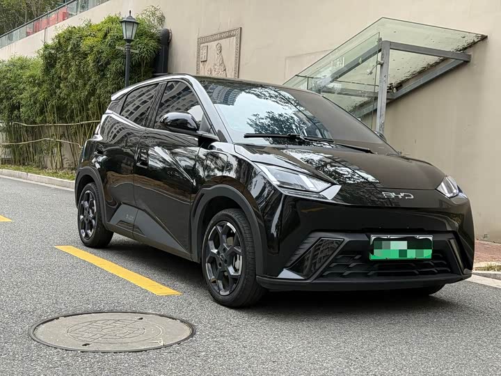 Фото 3 - BYD Seagull