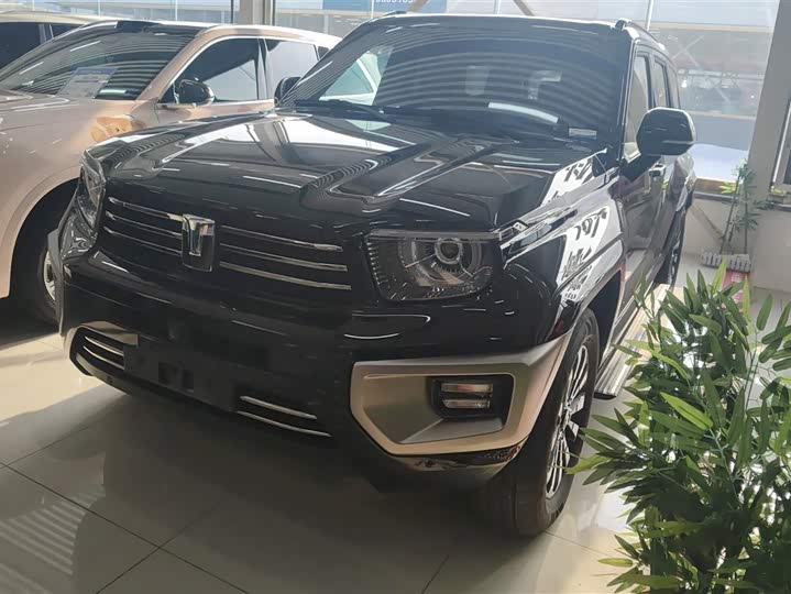 Фото 1 - Tank 700 Hybrid