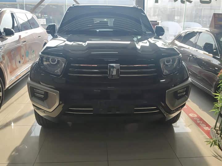 Фото 2 - Tank 700 Hybrid