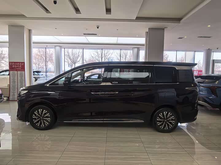 Фото 2 - Hongqi HQ9 Hybrid