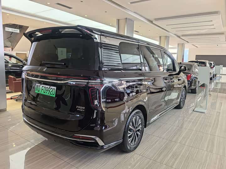 Фото 5 - Hongqi HQ9 Hybrid