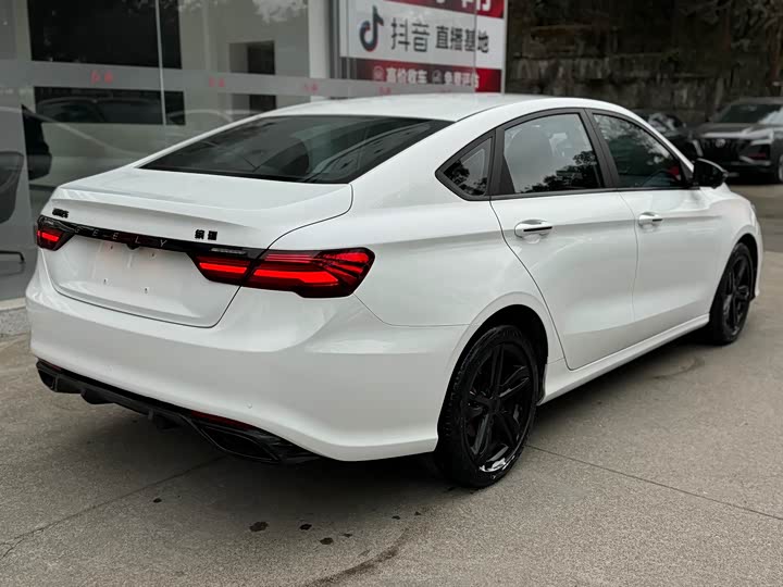 Фото 2 - Geely Binrui