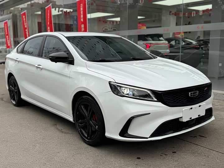 Фото 4 - Geely Binrui