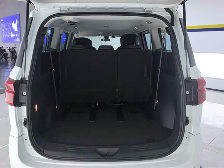 Фото 4 - Maxus G20