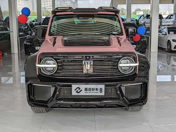 Фото 2 - Tank 300