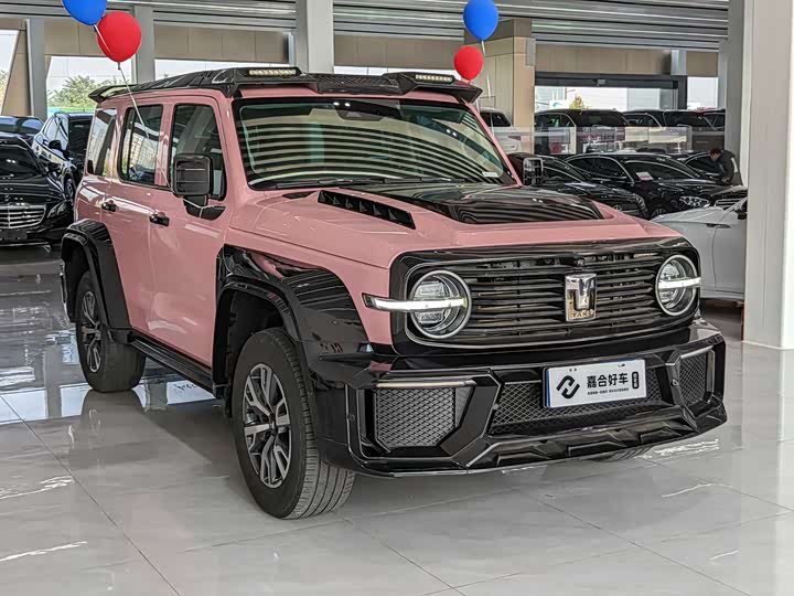 Фото 3 - Tank 300