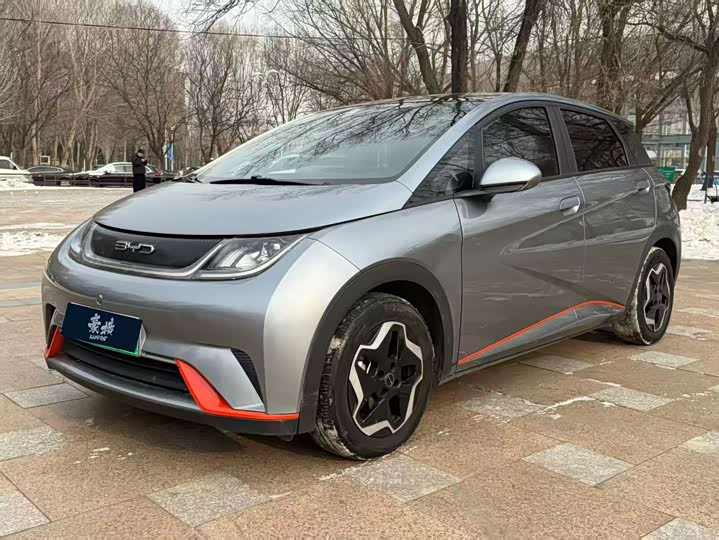 Фото 1 - BYD Dolphin