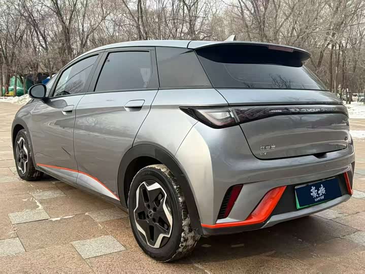 Фото 7 - BYD Dolphin