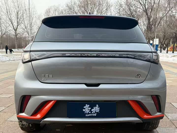 Фото 8 - BYD Dolphin