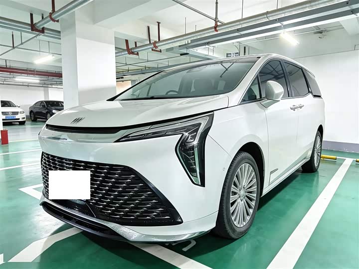 Фото 1 - Buick GL8 Century