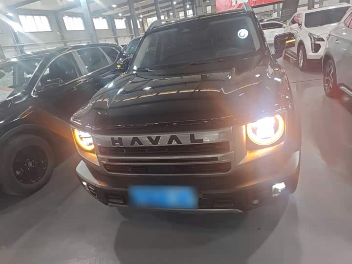 Фото 3 - Haval Dargo