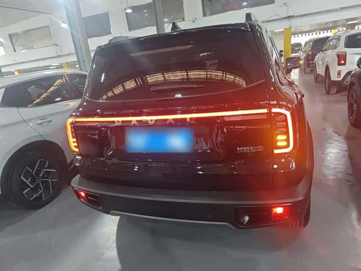 Фото 6 - Haval Dargo