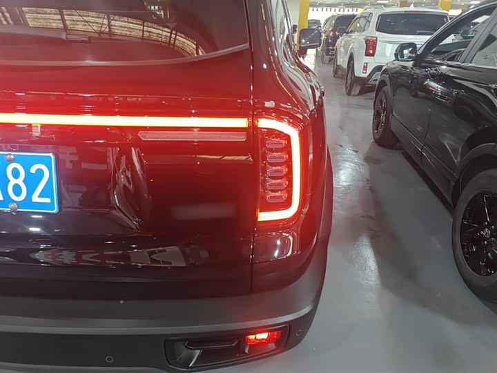 Фото 8 - Haval Dargo