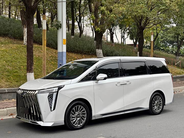 Фото 1 - GAC Trumpchi M8