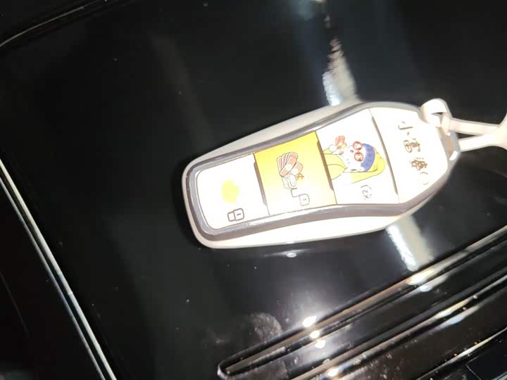 Фото 9 - BYD Han