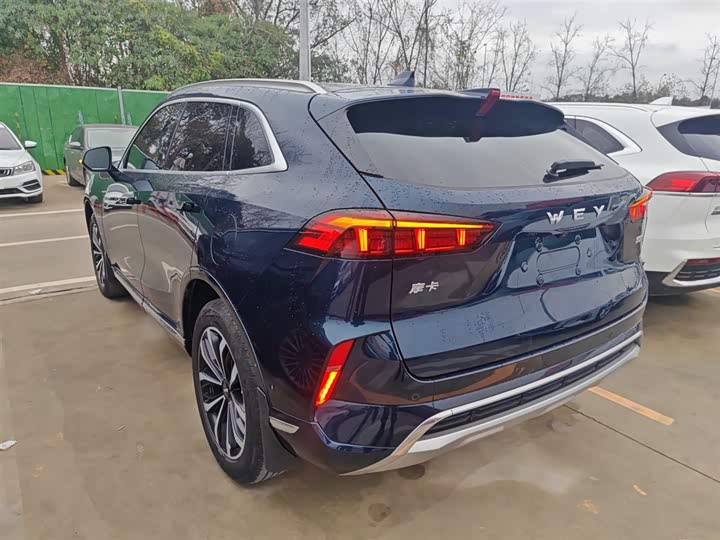 Фото 5 - Wey Mocha