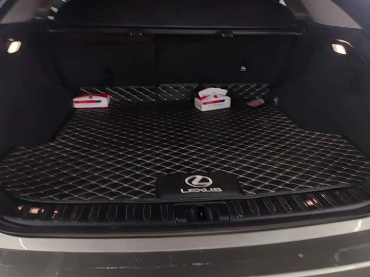 Фото 4 - Lexus RX