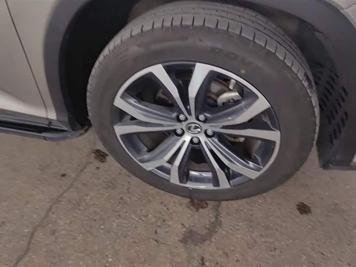 Фото 6 - Lexus RX