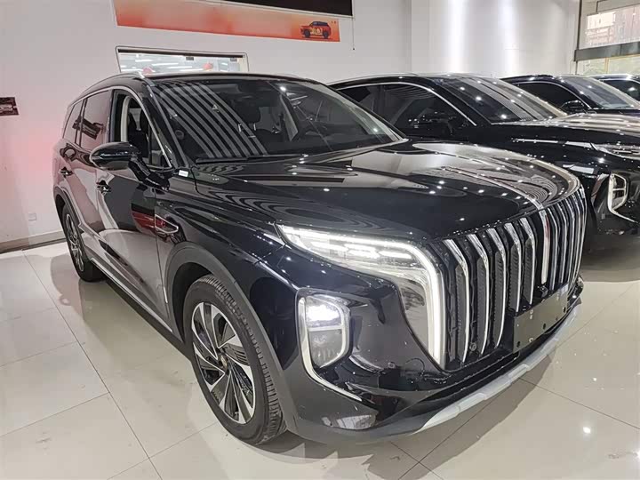 Фото 4 - Hongqi HS7 Hybrid
