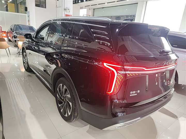 Фото 5 - Hongqi HS7 Hybrid