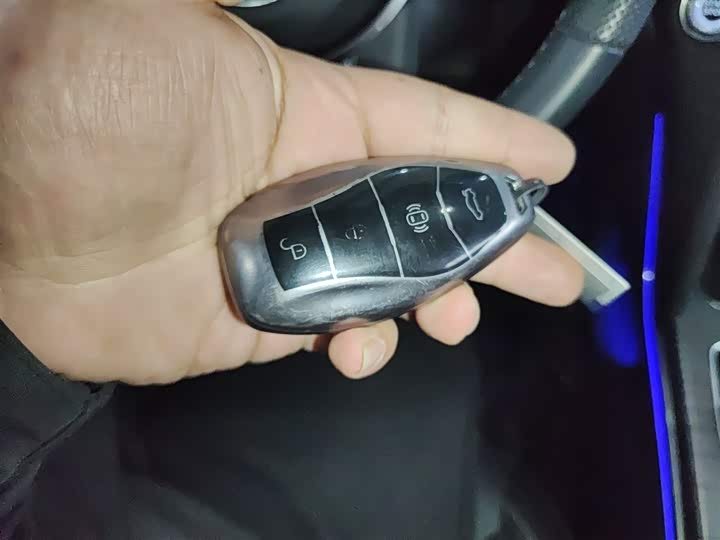 Фото 9 - Hongqi HS7 Hybrid