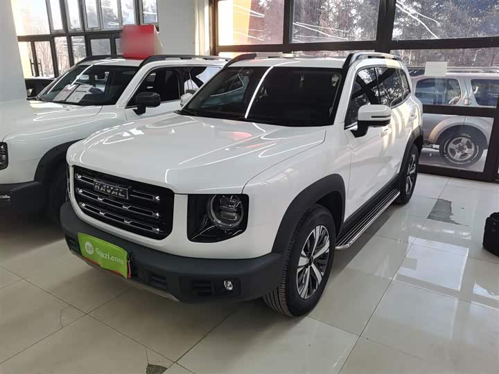 Фото 2 - Haval Dargo