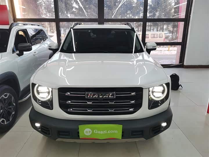 Фото 3 - Haval Dargo
