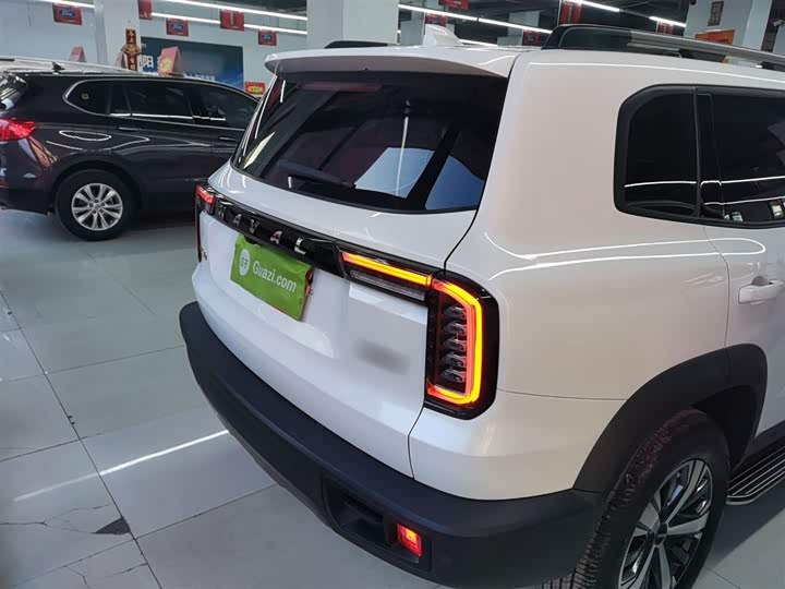 Фото 6 - Haval Dargo