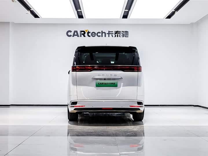 Фото 5 - Denza D9