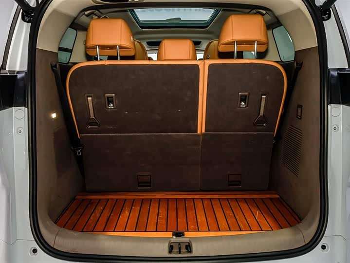 Фото 6 - Denza D9