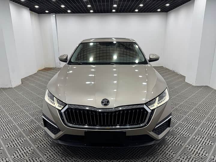 Фото 1 - Skoda Octavia Pro