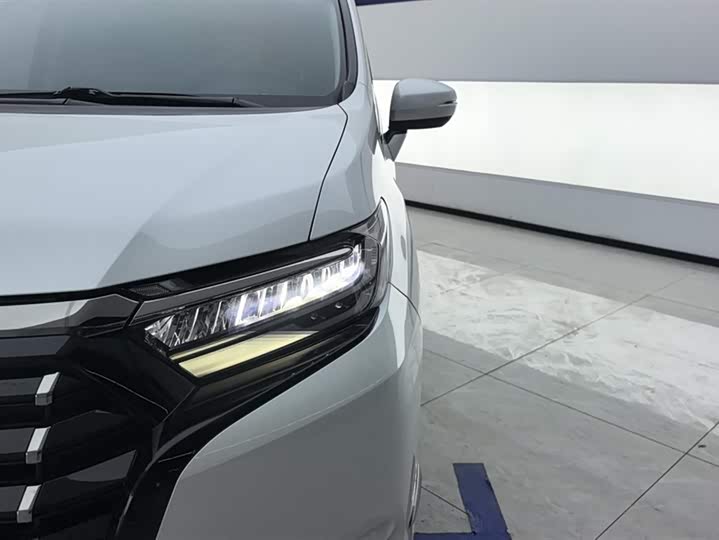 Фото 5 - Honda Elysion