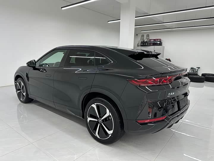 Фото 7 - BYD Song L