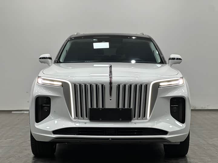 Фото 2 - Hongqi E-HS9