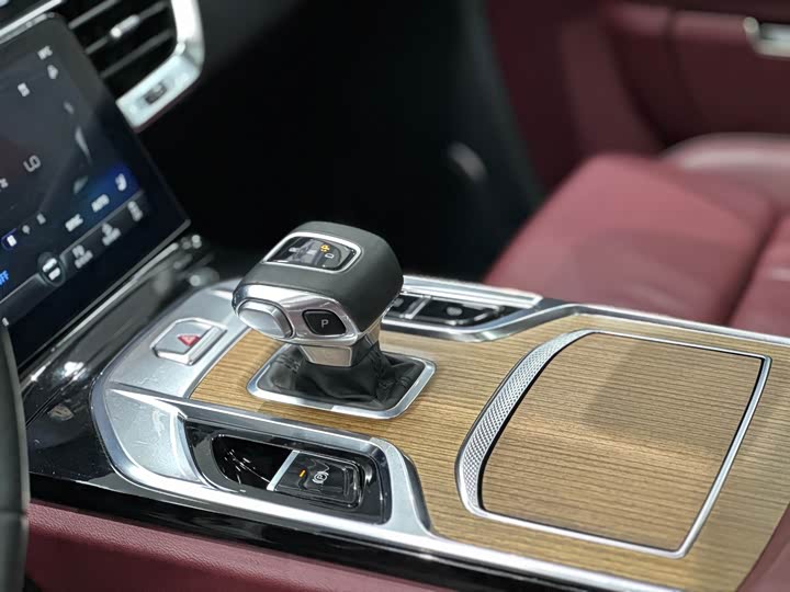 Фото 7 - Hongqi E-HS9