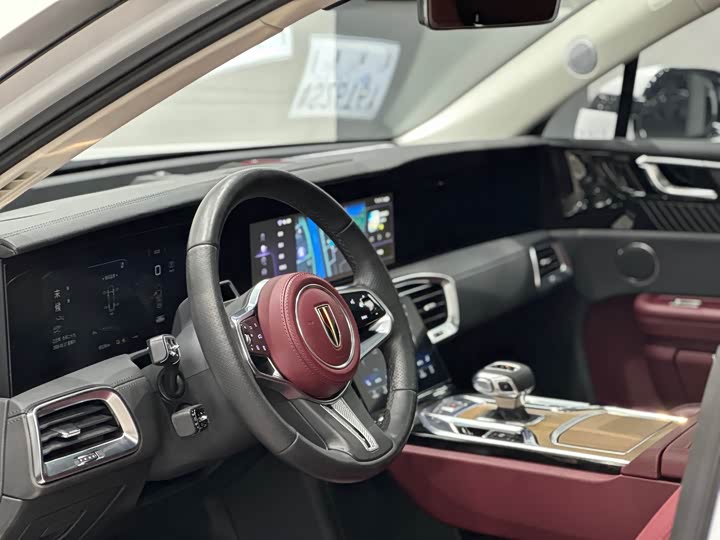 Фото 8 - Hongqi E-HS9