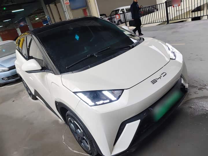 Фото 4 - BYD Seagull